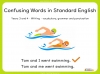 Confusing Words in Standard English - Years 3 and 4 Teaching Resources (slide 1/24)